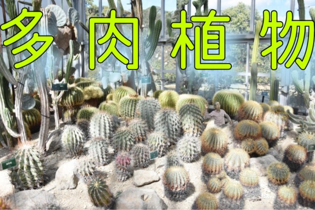 デリフラ231204.JPEG
