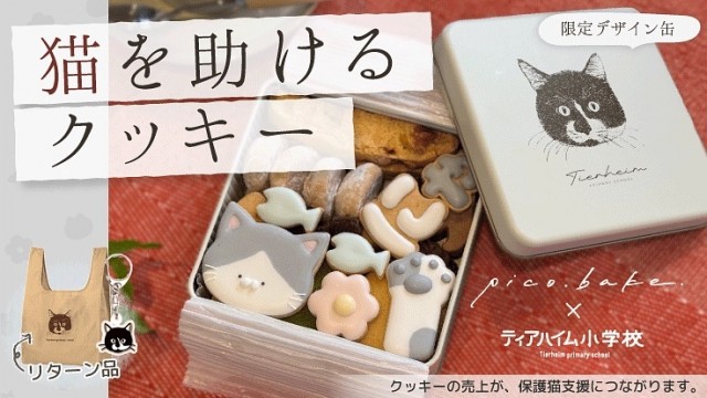 p156034-key-visualのコピー.jpg