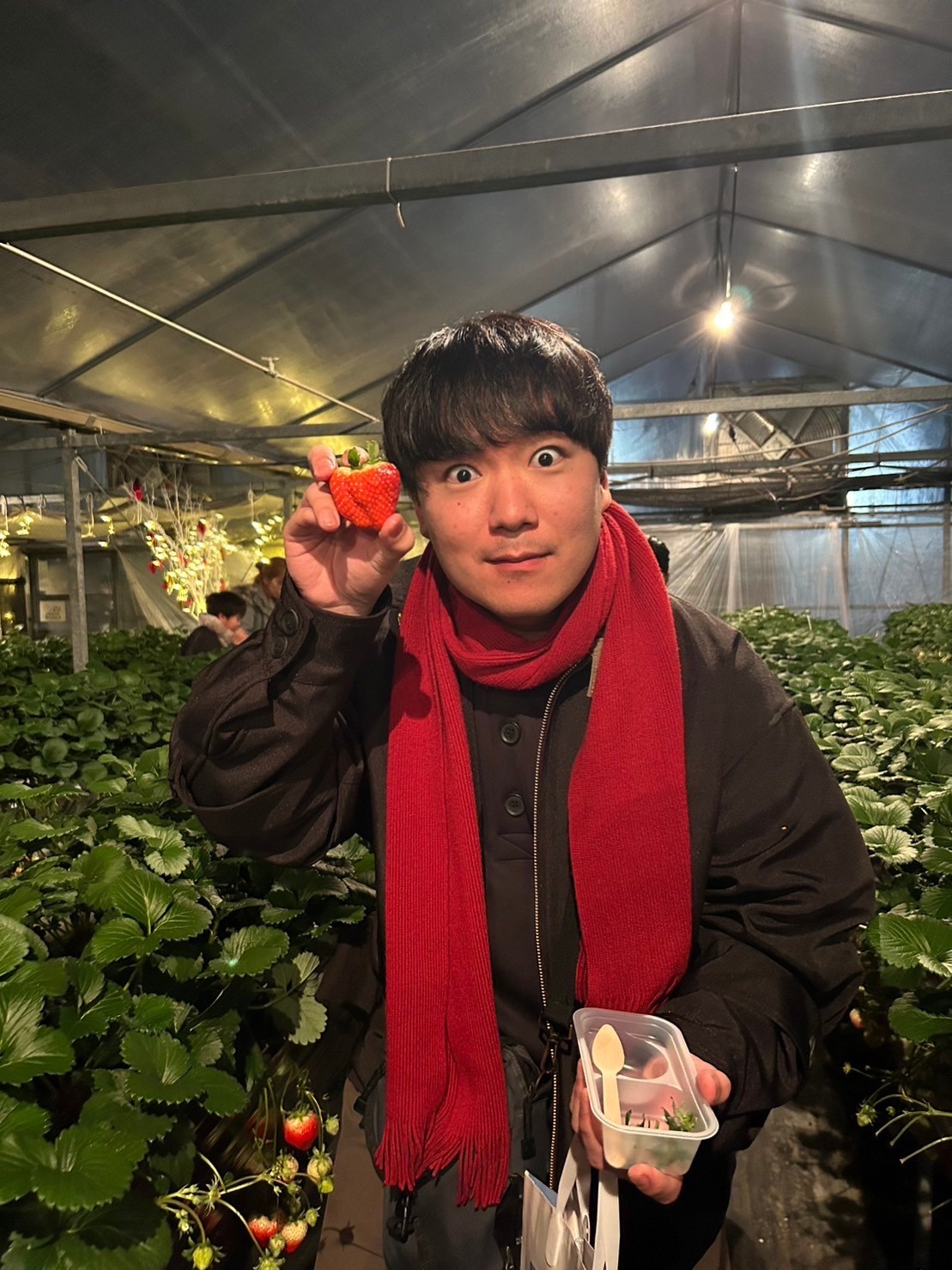 第98回「夜のいちご園で、いちご狩りデビュー！🍓」2024.2.6OA