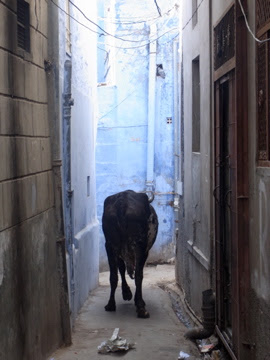 黒江美咲のちいトーク！