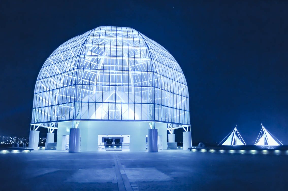 ビズスタ　THE REAL WELLNESS #144【夜の動物園や水族館のイベント】