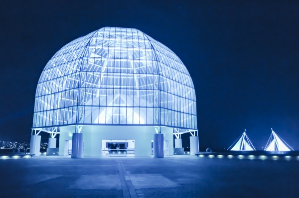 ビズスタ　THE REAL WELLNESS #144【夜の動物園や水族館のイベント】