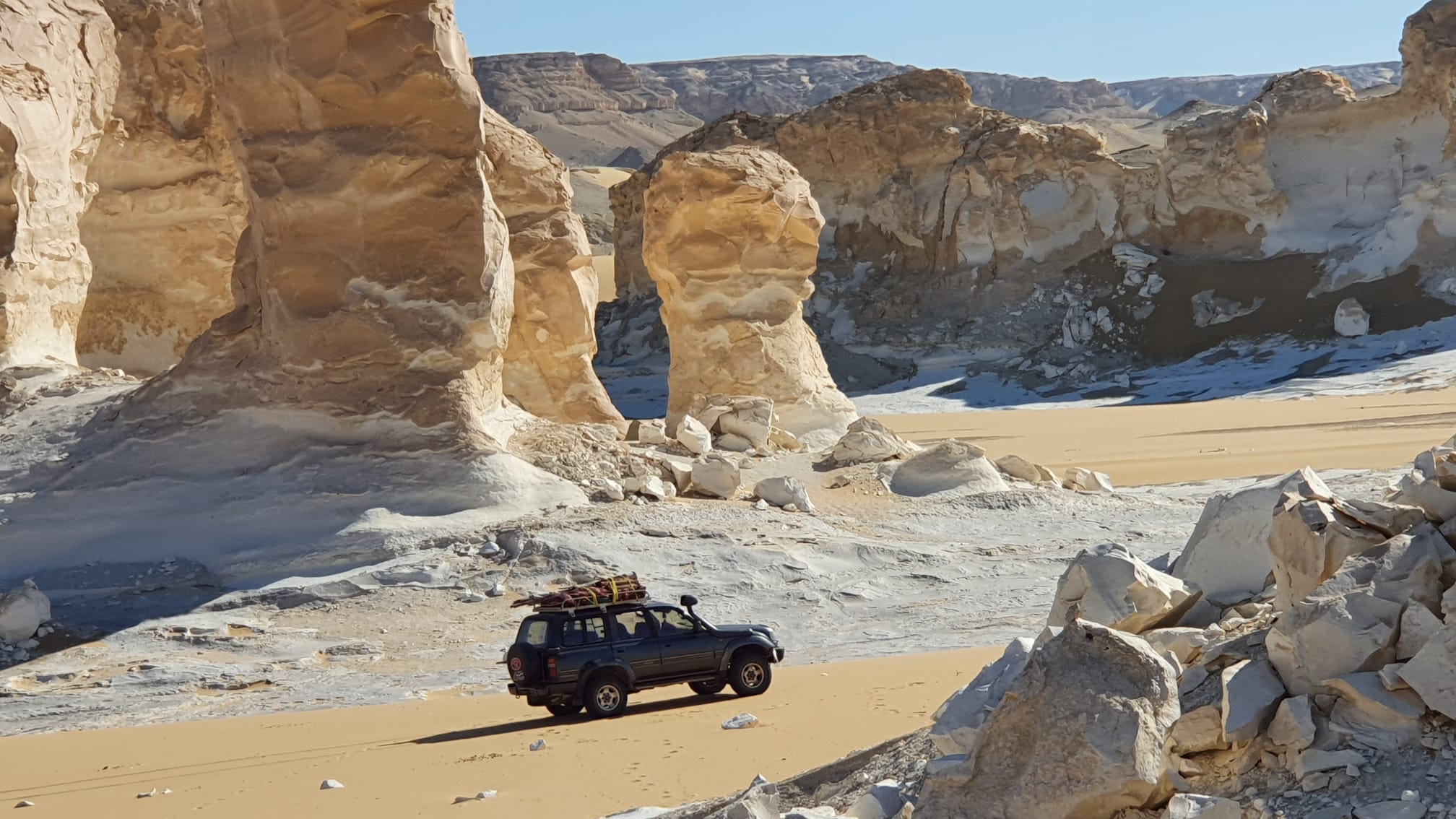 8月22日(月) バハレイヤ・オアシス「白と黒」