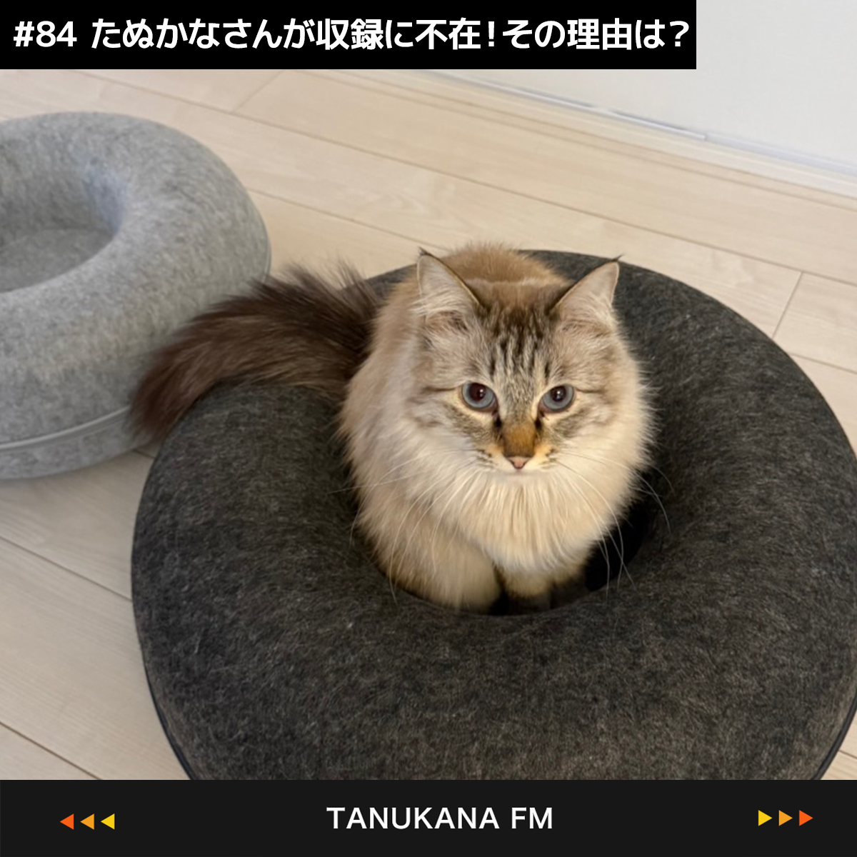 【#84 後編】イベントがガラガラ、内容にも困惑