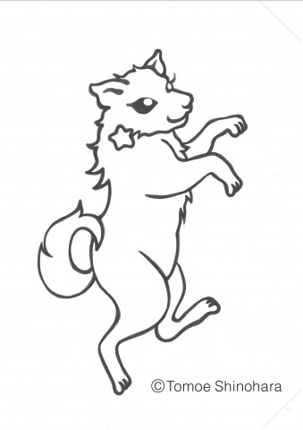 2月3日からの東京の星空情報☆彡