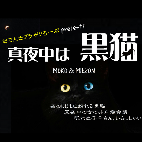 おでんせプラザぐろーぶpresents 真夜中は黒猫：本日の三次会 #1