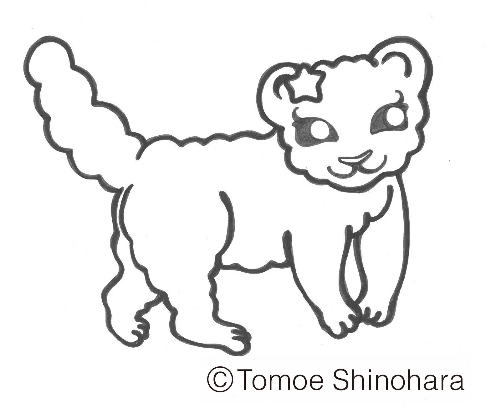 4月3日からの東京の星空情報☆彡