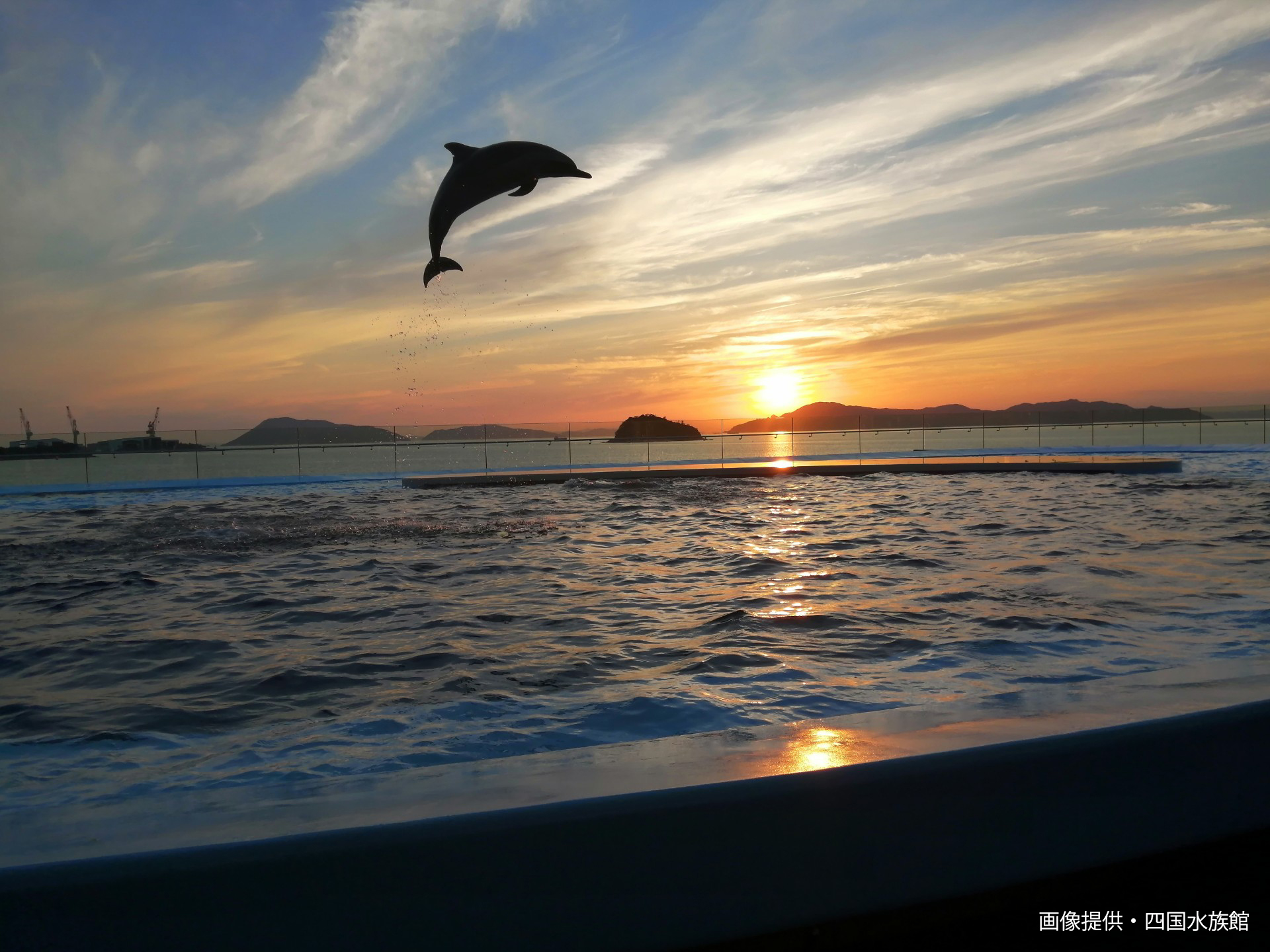 4月19日放送　夏の四国水族館で、夕陽をバックにイルカショーを楽しもう♪