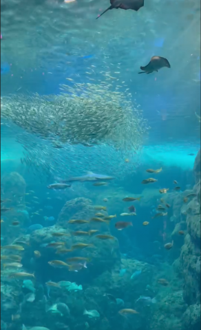 ラブホはどこにありますか？あ、変なことはしませんよ！