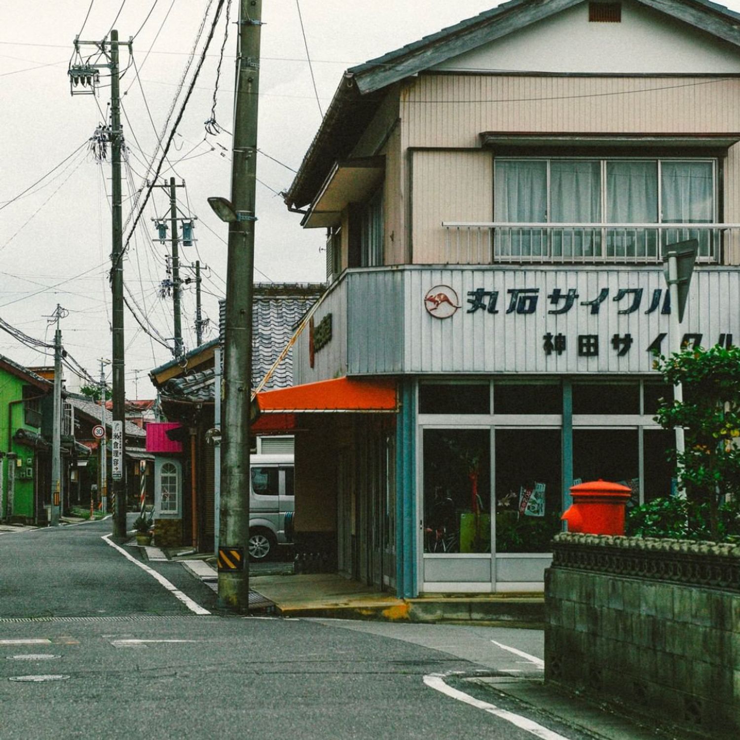 Toratabixの日本大百科 ペットビジネスの闇 延命措置はあり なし Audee オーディー