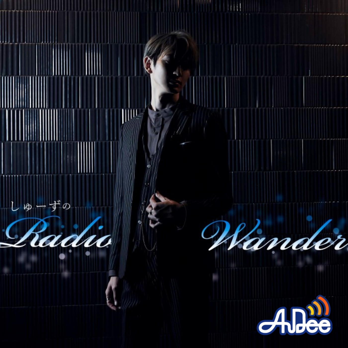 Night Wander : しゅーず | HMV&BOOKS online - PCCA-6098