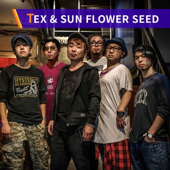 TEX & SUN FLOWER SEED「太陽のリズム」